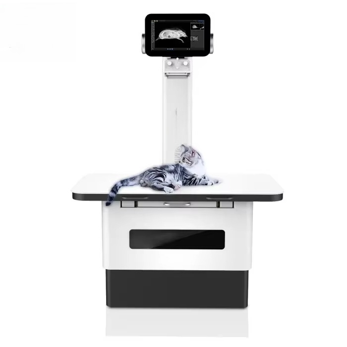 Sistema profesional de fotogra - Photography X Ray reseña y precio