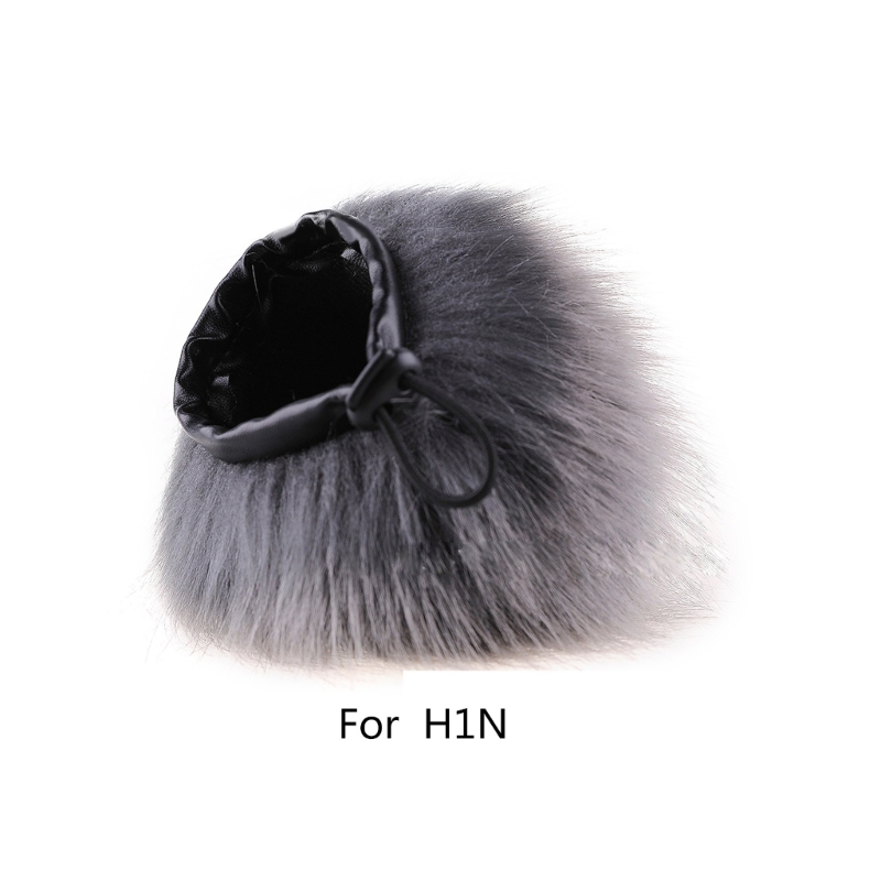 Grabadora de parabrisas H1N pa - Photography Ratio reseña y precio